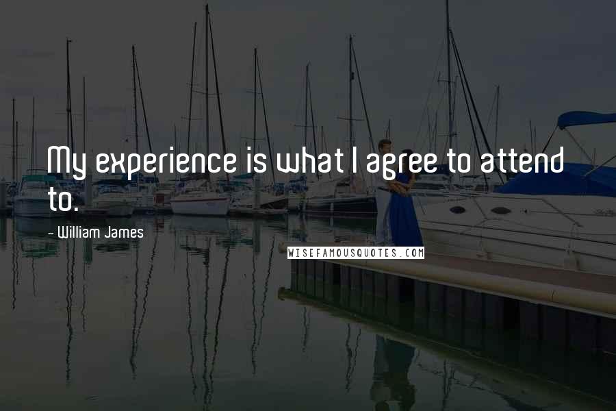 William James Quotes: My experience is what I agree to attend to.