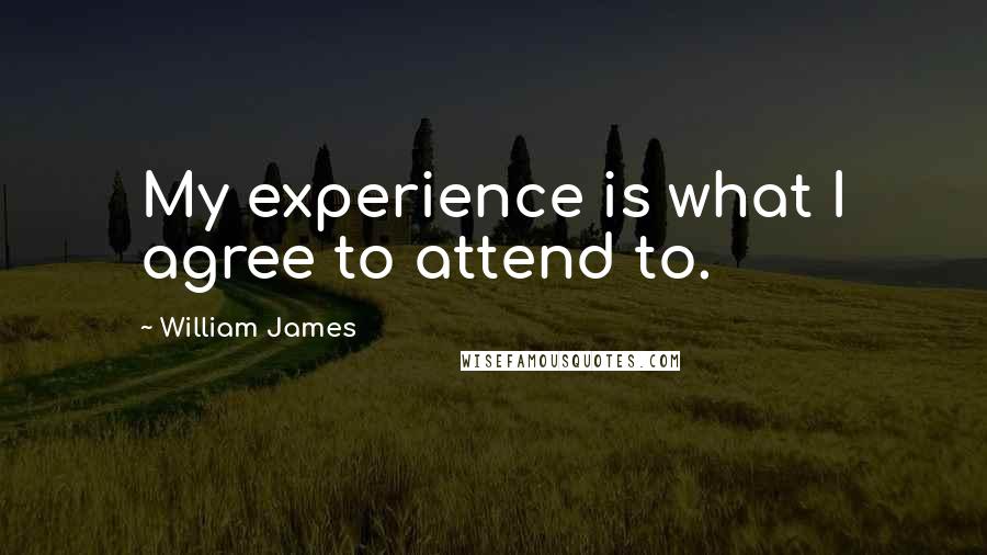 William James Quotes: My experience is what I agree to attend to.