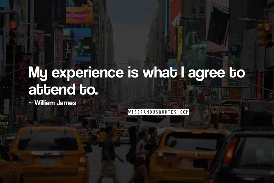 William James Quotes: My experience is what I agree to attend to.