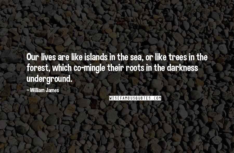 William James Quotes: Our lives are like islands in the sea, or like trees in the forest, which co-mingle their roots in the darkness underground.