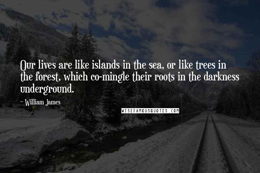 William James Quotes: Our lives are like islands in the sea, or like trees in the forest, which co-mingle their roots in the darkness underground.