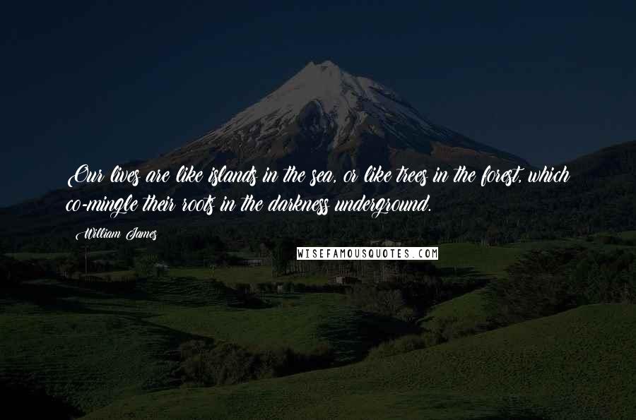 William James Quotes: Our lives are like islands in the sea, or like trees in the forest, which co-mingle their roots in the darkness underground.