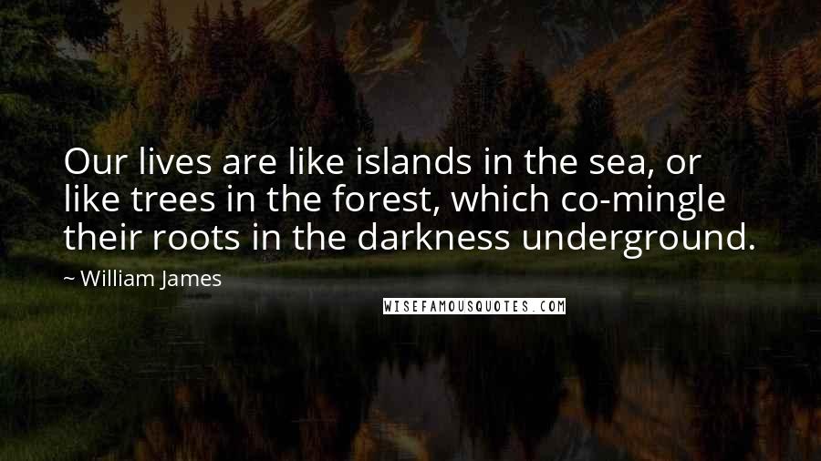 William James Quotes: Our lives are like islands in the sea, or like trees in the forest, which co-mingle their roots in the darkness underground.