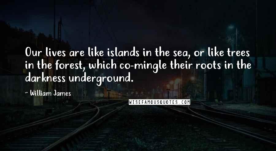 William James Quotes: Our lives are like islands in the sea, or like trees in the forest, which co-mingle their roots in the darkness underground.