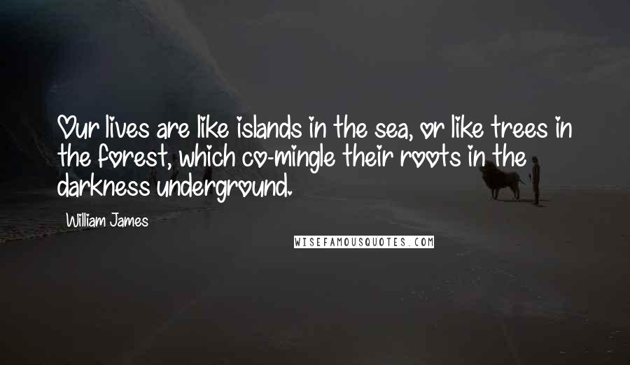 William James Quotes: Our lives are like islands in the sea, or like trees in the forest, which co-mingle their roots in the darkness underground.