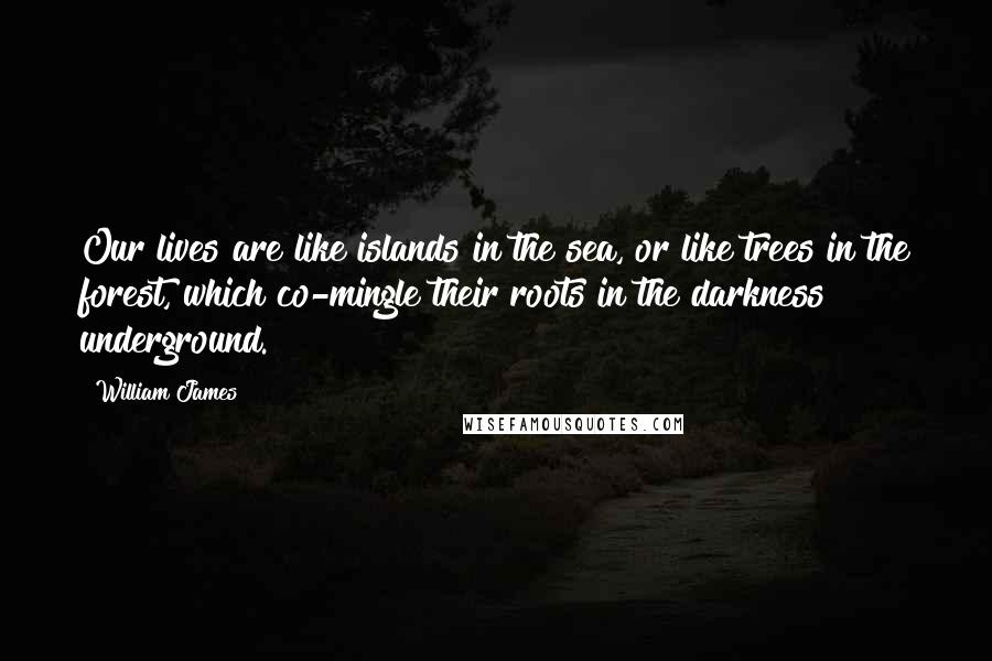 William James Quotes: Our lives are like islands in the sea, or like trees in the forest, which co-mingle their roots in the darkness underground.