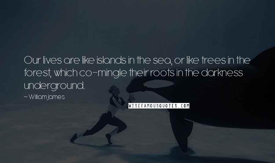 William James Quotes: Our lives are like islands in the sea, or like trees in the forest, which co-mingle their roots in the darkness underground.