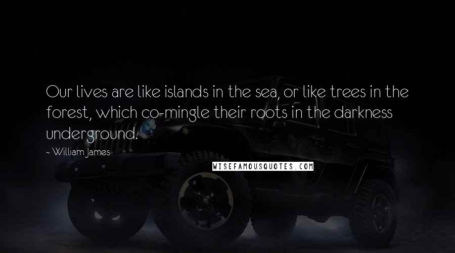 William James Quotes: Our lives are like islands in the sea, or like trees in the forest, which co-mingle their roots in the darkness underground.