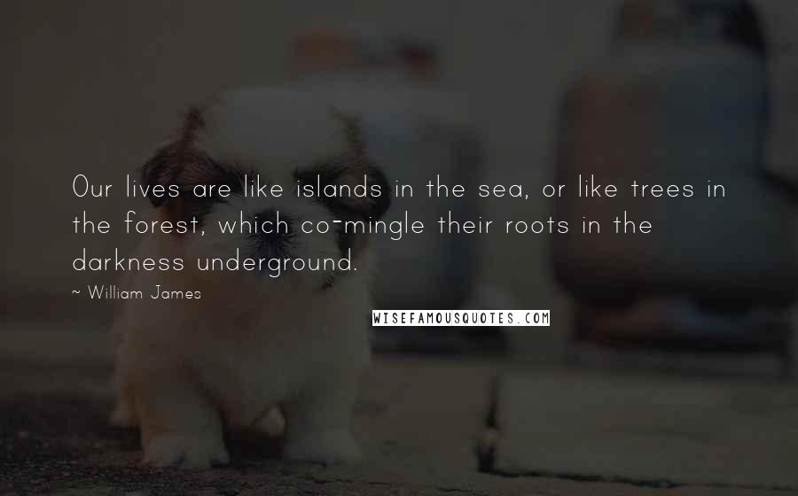 William James Quotes: Our lives are like islands in the sea, or like trees in the forest, which co-mingle their roots in the darkness underground.