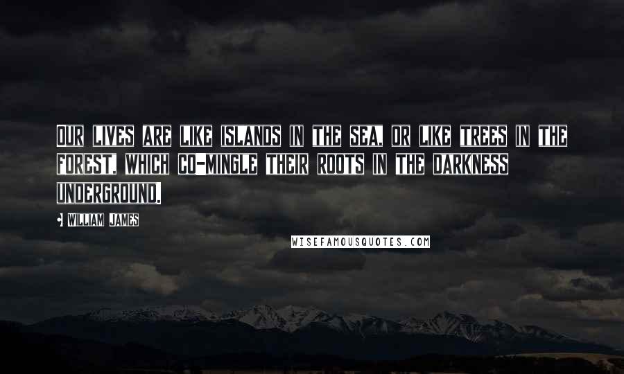 William James Quotes: Our lives are like islands in the sea, or like trees in the forest, which co-mingle their roots in the darkness underground.