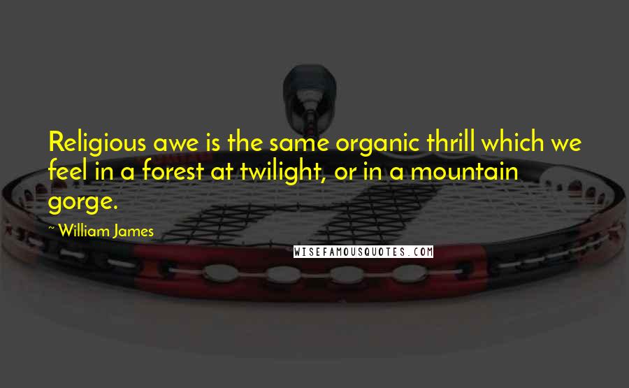 William James Quotes: Religious awe is the same organic thrill which we feel in a forest at twilight, or in a mountain gorge.