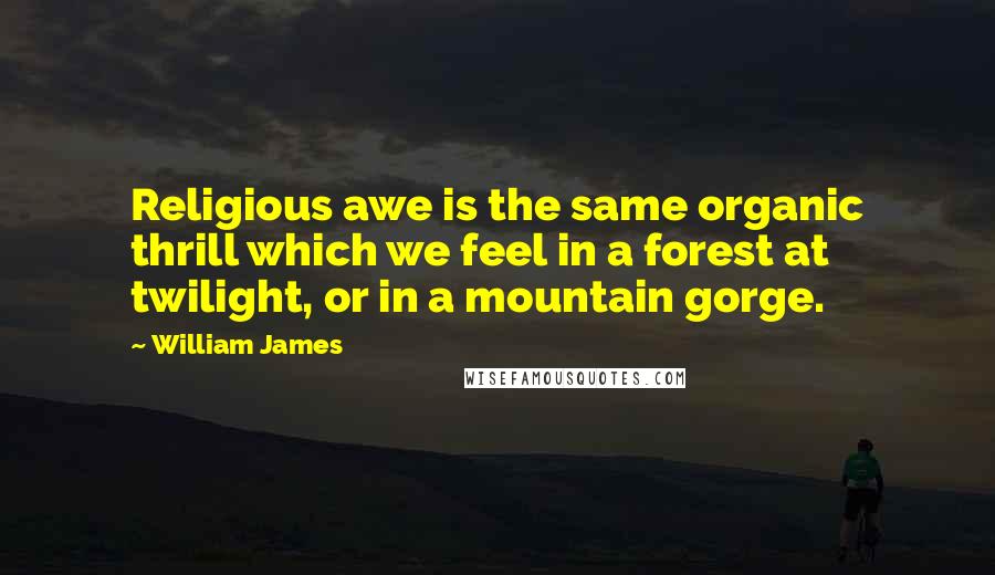 William James Quotes: Religious awe is the same organic thrill which we feel in a forest at twilight, or in a mountain gorge.