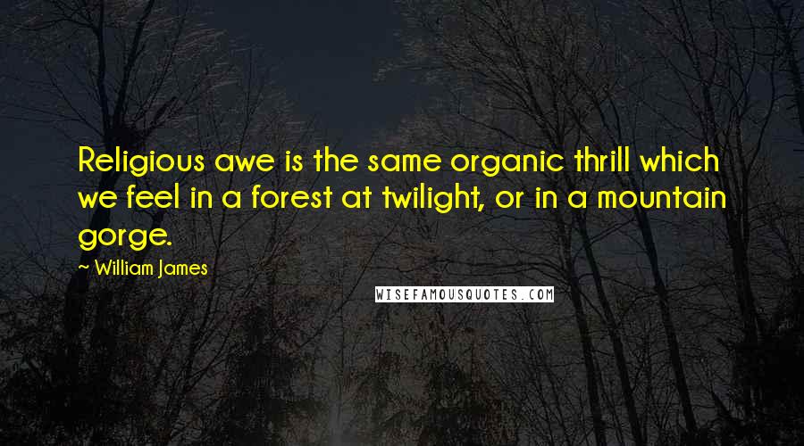 William James Quotes: Religious awe is the same organic thrill which we feel in a forest at twilight, or in a mountain gorge.