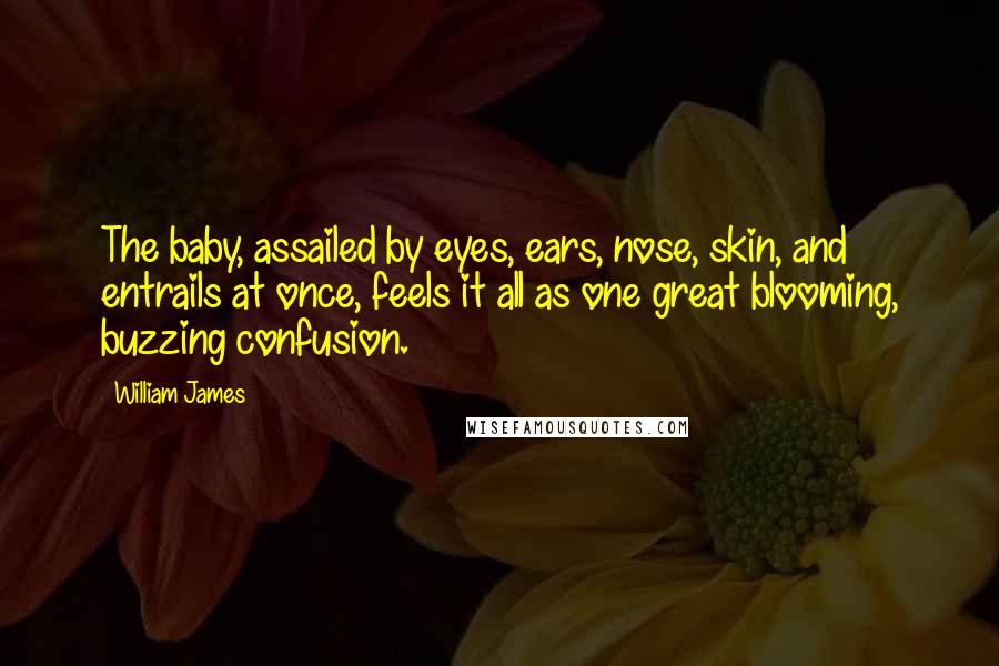 William James Quotes: The baby, assailed by eyes, ears, nose, skin, and entrails at once, feels it all as one great blooming, buzzing confusion.