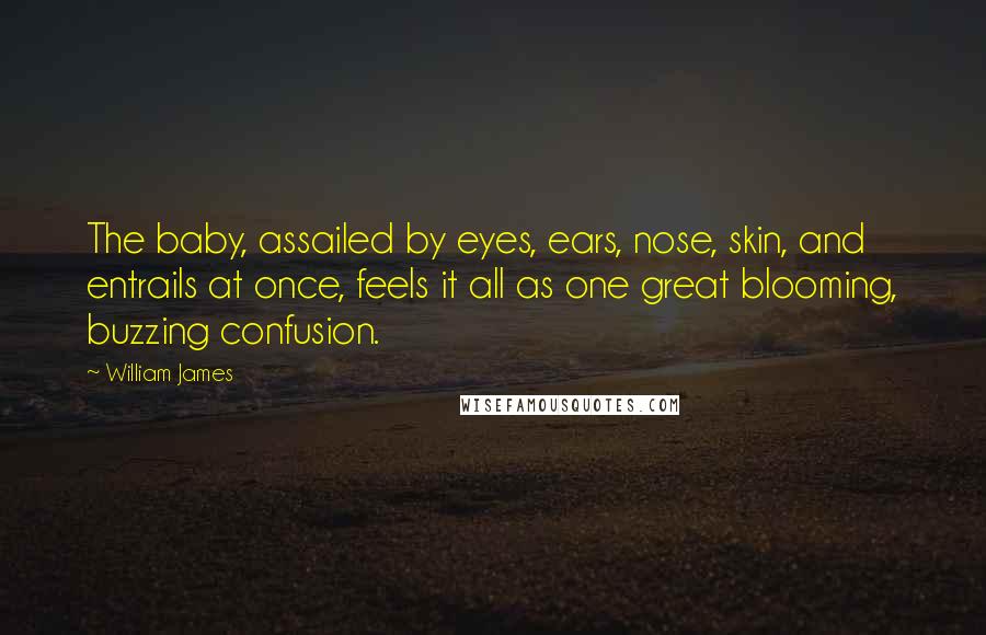 William James Quotes: The baby, assailed by eyes, ears, nose, skin, and entrails at once, feels it all as one great blooming, buzzing confusion.