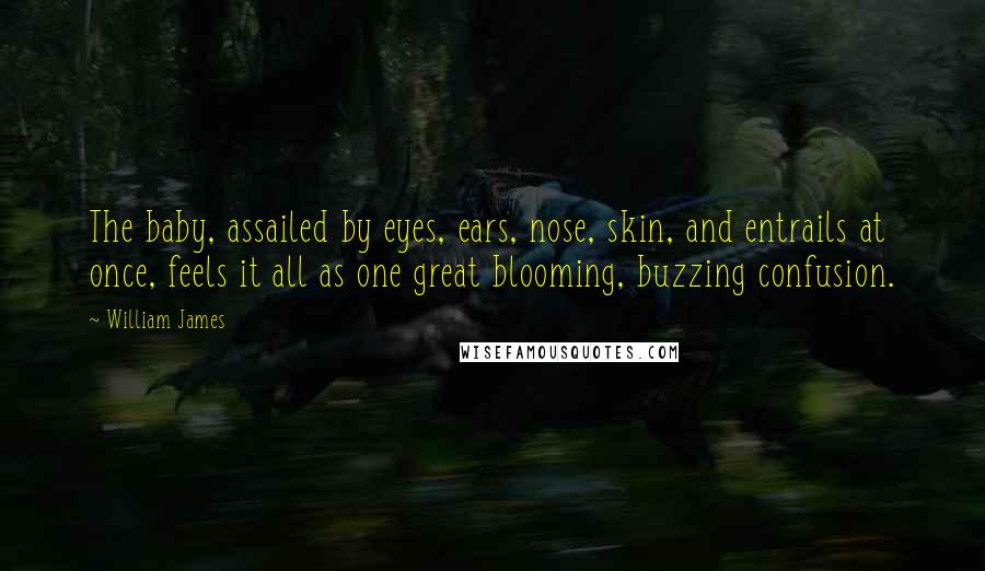 William James Quotes: The baby, assailed by eyes, ears, nose, skin, and entrails at once, feels it all as one great blooming, buzzing confusion.