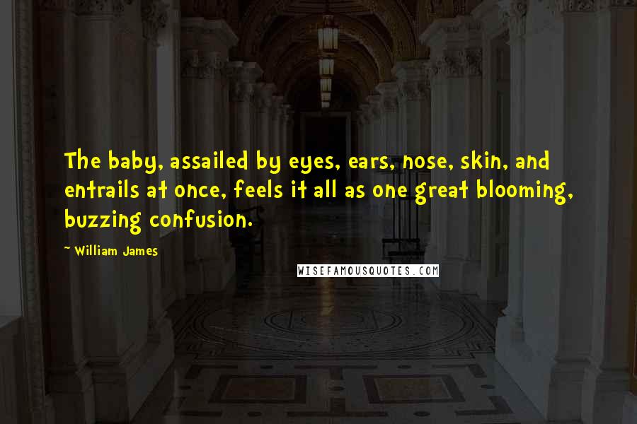 William James Quotes: The baby, assailed by eyes, ears, nose, skin, and entrails at once, feels it all as one great blooming, buzzing confusion.