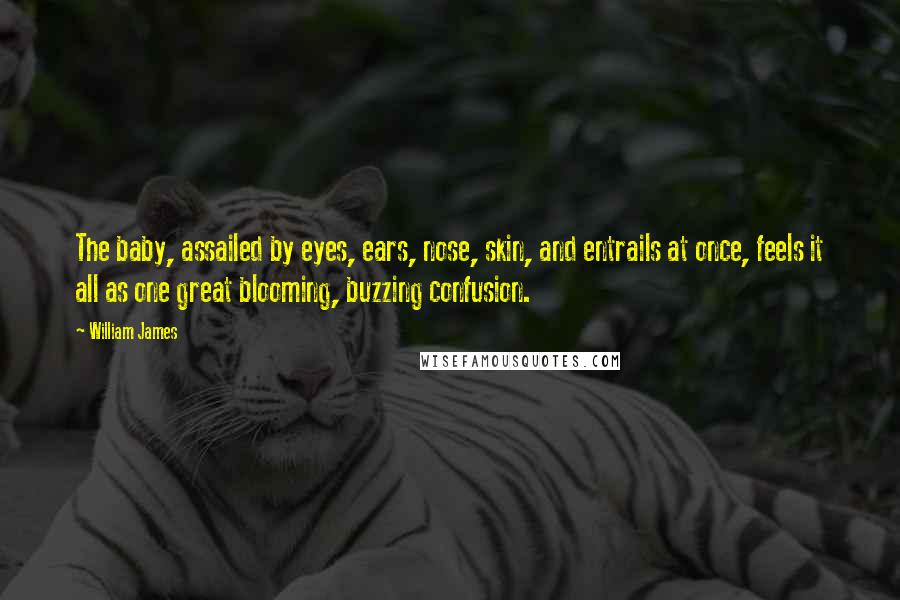 William James Quotes: The baby, assailed by eyes, ears, nose, skin, and entrails at once, feels it all as one great blooming, buzzing confusion.