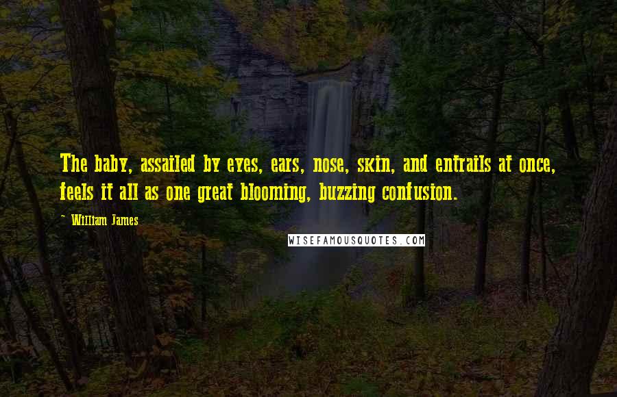 William James Quotes: The baby, assailed by eyes, ears, nose, skin, and entrails at once, feels it all as one great blooming, buzzing confusion.