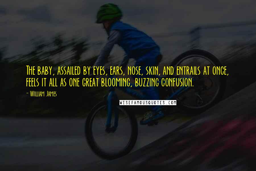 William James Quotes: The baby, assailed by eyes, ears, nose, skin, and entrails at once, feels it all as one great blooming, buzzing confusion.