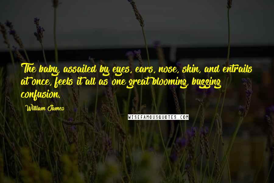 William James Quotes: The baby, assailed by eyes, ears, nose, skin, and entrails at once, feels it all as one great blooming, buzzing confusion.