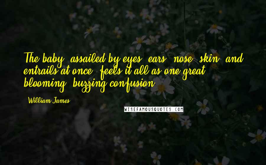 William James Quotes: The baby, assailed by eyes, ears, nose, skin, and entrails at once, feels it all as one great blooming, buzzing confusion.