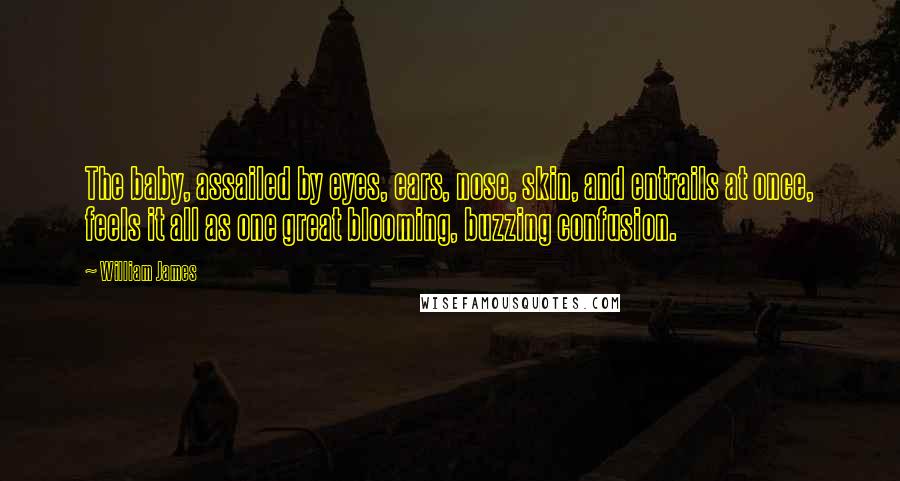 William James Quotes: The baby, assailed by eyes, ears, nose, skin, and entrails at once, feels it all as one great blooming, buzzing confusion.