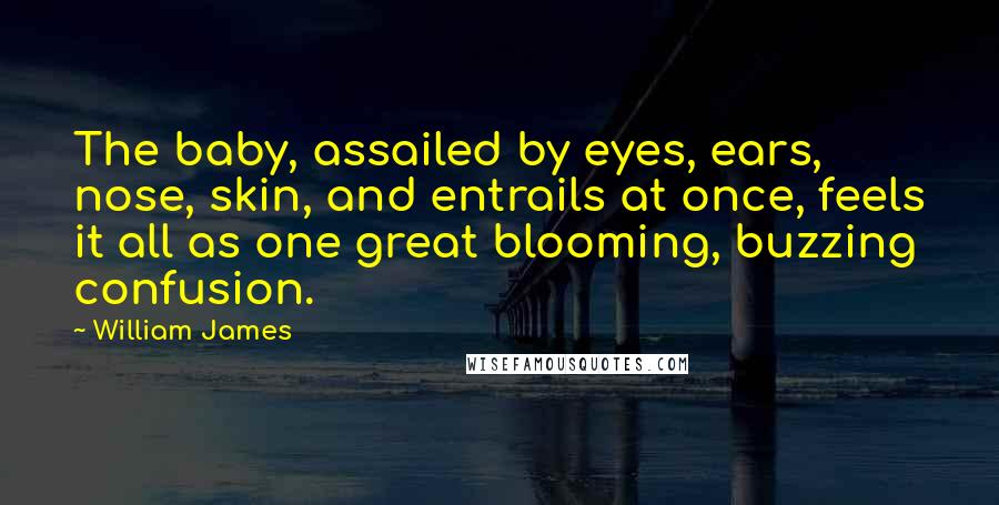 William James Quotes: The baby, assailed by eyes, ears, nose, skin, and entrails at once, feels it all as one great blooming, buzzing confusion.