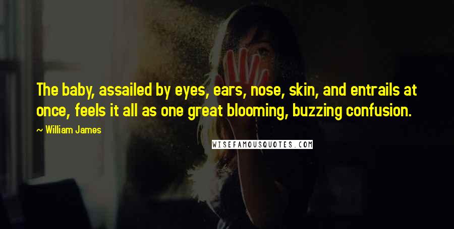 William James Quotes: The baby, assailed by eyes, ears, nose, skin, and entrails at once, feels it all as one great blooming, buzzing confusion.