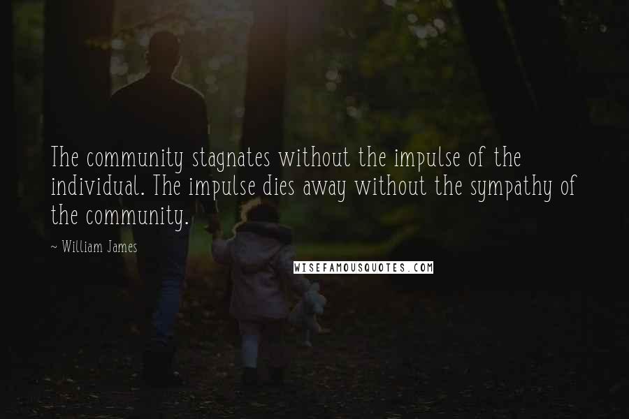 William James Quotes: The community stagnates without the impulse of the individual. The impulse dies away without the sympathy of the community.