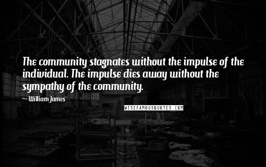 William James Quotes: The community stagnates without the impulse of the individual. The impulse dies away without the sympathy of the community.