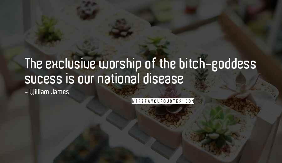 William James Quotes: The exclusive worship of the bitch-goddess sucess is our national disease