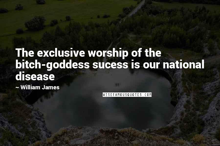 William James Quotes: The exclusive worship of the bitch-goddess sucess is our national disease