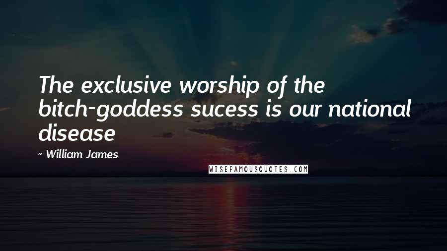 William James Quotes: The exclusive worship of the bitch-goddess sucess is our national disease