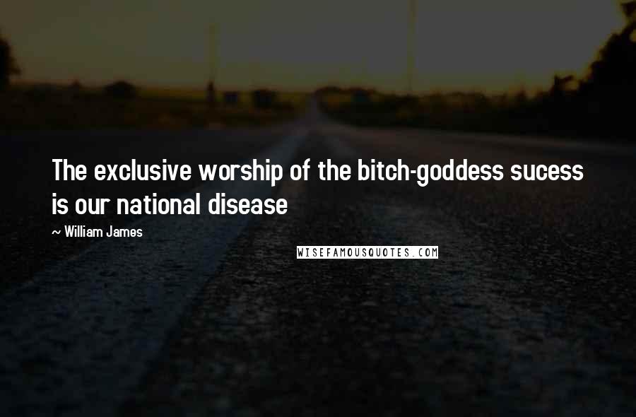William James Quotes: The exclusive worship of the bitch-goddess sucess is our national disease