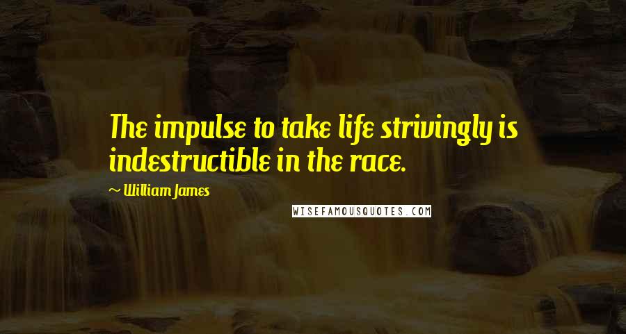 William James Quotes: The impulse to take life strivingly is indestructible in the race.