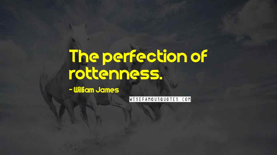 William James Quotes: The perfection of rottenness.