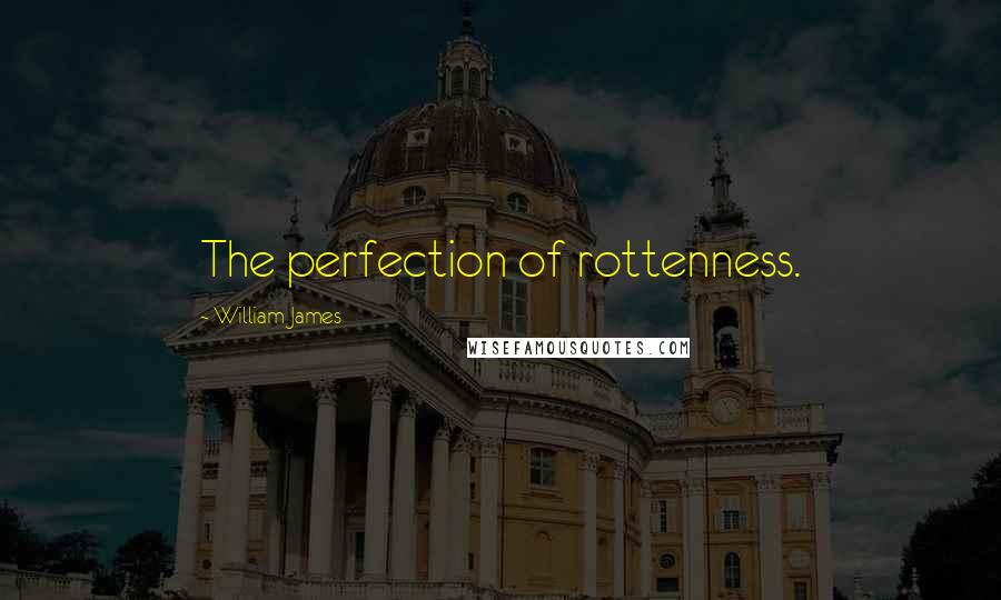 William James Quotes: The perfection of rottenness.