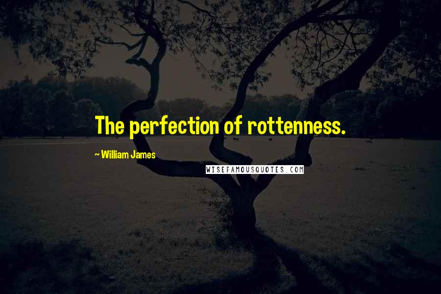 William James Quotes: The perfection of rottenness.