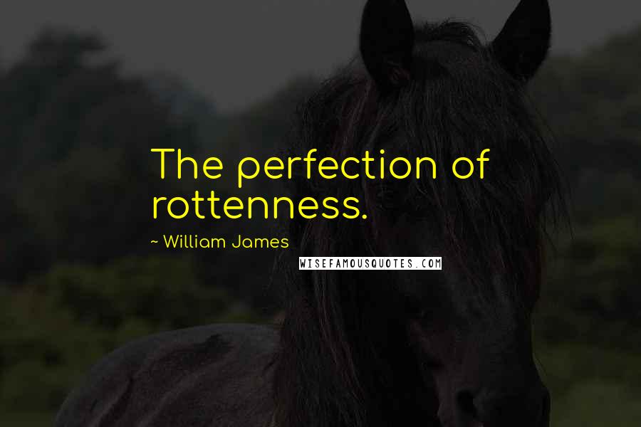 William James Quotes: The perfection of rottenness.