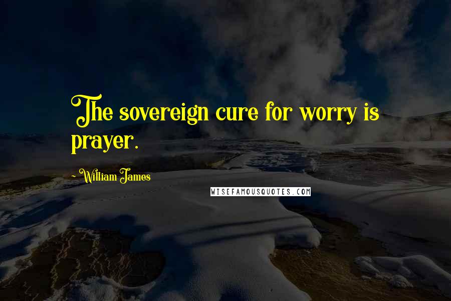 William James Quotes: The sovereign cure for worry is prayer.