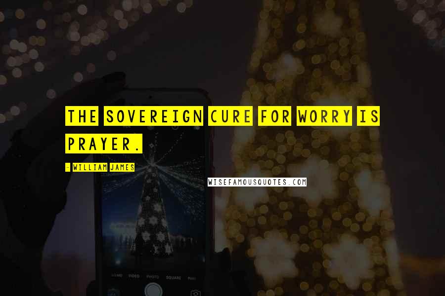 William James Quotes: The sovereign cure for worry is prayer.