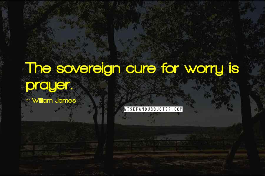 William James Quotes: The sovereign cure for worry is prayer.