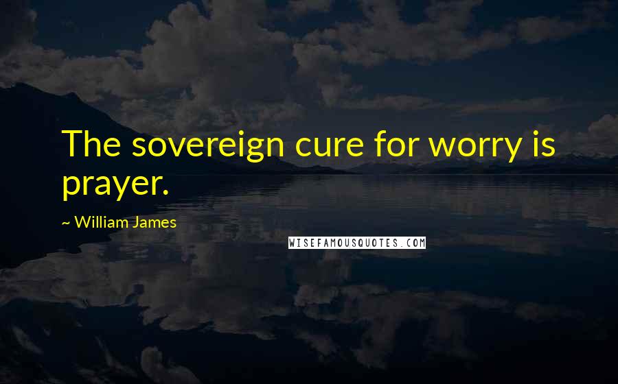 William James Quotes: The sovereign cure for worry is prayer.