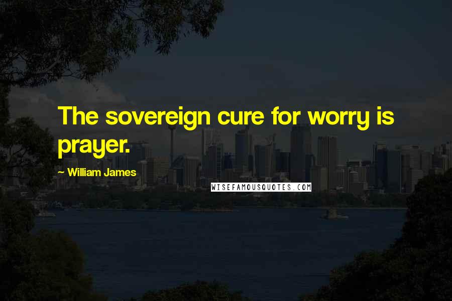 William James Quotes: The sovereign cure for worry is prayer.