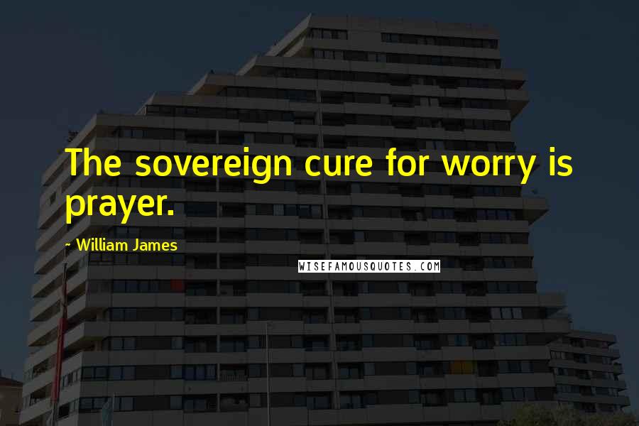 William James Quotes: The sovereign cure for worry is prayer.
