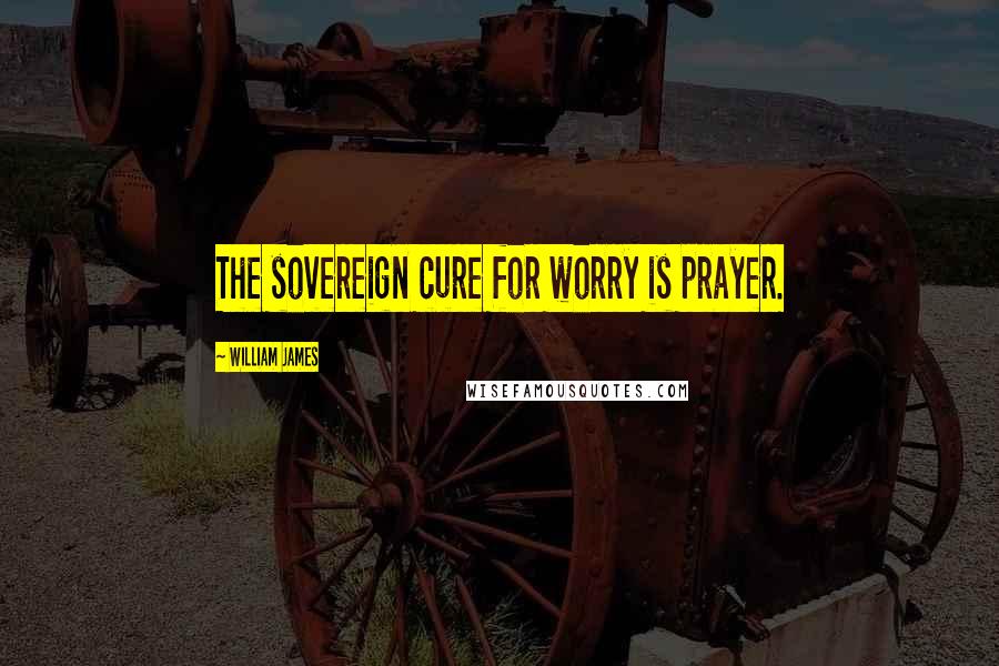 William James Quotes: The sovereign cure for worry is prayer.