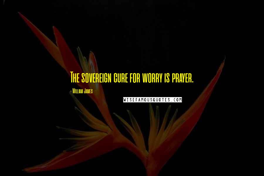 William James Quotes: The sovereign cure for worry is prayer.
