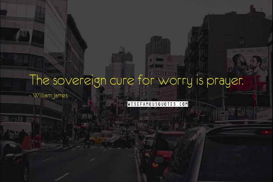 William James Quotes: The sovereign cure for worry is prayer.