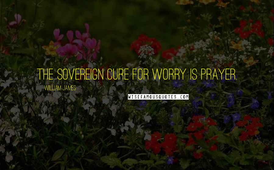 William James Quotes: The sovereign cure for worry is prayer.